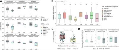 Novel Diagnostic and Therapeutic Options for KMT2A-Rearranged Acute Leukemias